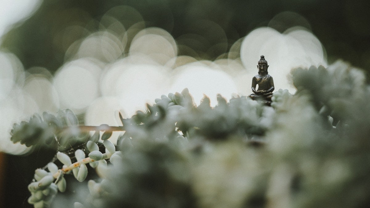 Los Beneficios de la Meditación en la Vida Diaria